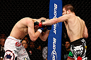 LAS VEGAS, NV - DECEMBER 29:  (R-L) Jim Miller punches Joe Lauzon during their lightweight fight at UFC 155 on December 29, 2012 at MGM Grand Garden Arena in Las Vegas, Nevada. (Photo by Josh Hedges/Zuffa LLC/Zuffa LLC via Getty Images) *** Local Caption *** Joe Lauzon; Jim Miller