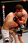 LAS VEGAS, NV - DECEMBER 29:  (R-L) Jim Miller knees Joe Lauzon during their lightweight fight at UFC 155 on December 29, 2012 at MGM Grand Garden Arena in Las Vegas, Nevada. (Photo by Josh Hedges/Zuffa LLC/Zuffa LLC via Getty Images) *** Local Caption *** Joe Lauzon; Jim Miller