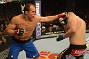 LAS VEGAS, NV - DECEMBER 29:  (L-R) Junior dos Santos punches Cain Velasquez during their heavyweight championship fight at UFC 155 on December 29, 2012 at MGM Grand Garden Arena in Las Vegas, Nevada. (Photo by Donald Miralle/Zuffa LLC/Zuffa LLC via Getty Images) *** Local Caption *** Junior dos Santos; Cain Velasquez