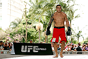 SAO PAULO, BRAZIL - JANUARY 16:  Daniel Sarafian participates in an open workout session for media and fans on January 16, 2013 at Parque Anhangabau in Sao Paulo, Brazil. (Photo by Josh Hedges/Zuffa LLC/Zuffa LLC via Getty Images)