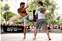 SAO PAULO, BRAZIL - JANUARY 16:  Thiago Tavares participates in an open workout session for media and fans on January 16, 2013 at Parque Anhangabau in Sao Paulo, Brazil. (Photo by Josh Hedges/Zuffa LLC/Zuffa LLC via Getty Images)