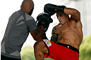 SAO PAULO, BRAZIL - JANUARY 16:  Daniel Sarafian participates in an open workout session for media and fans on January 16, 2013 at Parque Anhangabau in Sao Paulo, Brazil. (Photo by Josh Hedges/Zuffa LLC/Zuffa LLC via Getty Images)