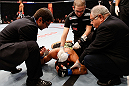 SAO PAULO, BRAZIL - JANUARY 19:  Pedro Nobre is treated by doctors after an illegal strike from Yuri Alcantara in their bantamweight fight at the UFC on FX event on January 19, 2013 at Ibirapuera Gymnasium in Sao Paulo, Brazil. (Photo by Josh Hedges/Zuffa LLC/Zuffa LLC via Getty Images)
