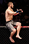 SAO PAULO, BRAZIL - JANUARY 19:  Khabib Nurmagomedov reacts after knocking out Thiago Tavares in their lightweight fight at the UFC on FX event on January 19, 2013 at Ibirapuera Gymnasium in Sao Paulo, Brazil. (Photo by Josh Hedges/Zuffa LLC/Zuffa LLC via Getty Images)