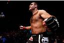 SAO PAULO, BRAZIL - JANUARY 19:  Gabriel Gonzaga prepares to enter the Octagon before his heavyweight fight against Ben Rothwell at the UFC on FX event on January 19, 2013 at Ibirapuera Gymnasium in Sao Paulo, Brazil. (Photo by Josh Hedges/Zuffa LLC/Zuffa LLC via Getty Images)