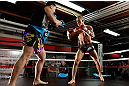 CHICAGO, IL - JANUARY 23:  Erik Koch (R) conducts an open workout session for media on January 23, 2013 at UFC Gym in Chicago, Illinois. (Photo by Josh Hedges/Zuffa LLC/Zuffa LLC via Getty Images)