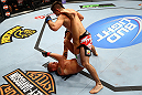 CHICAGO, IL - JANUARY 26:  Ricardo Lamas (Top) punches Erik Koch (Bottom) during their Featherweight Bout part of UFC on FOX at United Center on January 26, 2013 in Chicago, Illinois.  (Photo by Al Bello/Zuffa LLC/Zuffa LLC Via Getty Images)