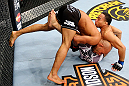 CHICAGO, IL - JANUARY 26:  Demetrious Johnson (L) dumps John Dodson (R) during thier Flyweight Championship Bout part of UFC on FOX at United Center on January 26, 2013 in Chicago, Illinois.  (Photo by Al Bello/Zuffa LLC/Zuffa LLC Via Getty Images)
