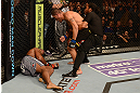 LAS VEGAS, NV - FEBRUARY 02:  (R-L) Antonio Silva reacts after his knockout victory over Alistair Overeem during their heavyweight fight at UFC 156 on February 2, 2013 at the Mandalay Bay Events Center in Las Vegas, Nevada.  (Photo by Donald Miralle/Zuffa LLC/Zuffa LLC via Getty Images) *** Local Caption *** Alistair Overeem; Antonio Silva