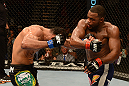 LAS VEGAS, NV - FEBRUARY 02:  (R-L) Rashad Evans punches Antonio Rogerio Nogueira during their light heavyweight fight at UFC 156 on February 2, 2013 at the Mandalay Bay Events Center in Las Vegas, Nevada.  (Photo by Donald Miralle/Zuffa LLC/Zuffa LLC via Getty Images) *** Local Caption *** Rashad Evans; Antonio Rogerio Nogueira