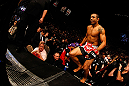 LAS VEGAS, NV - FEBRUARY 02:  Jose Aldo enters the Octagon to face Frankie Edgar before their featherweight title fight at UFC 156 on February 2, 2013 at the Mandalay Bay Events Center in Las Vegas, Nevada.  (Photo by Josh Hedges/Zuffa LLC/Zuffa LLC via Getty Images) *** Local Caption *** Jose Aldo; Frankie Edgar