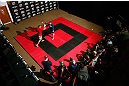 LONDON, ENGLAND - FEBRUARY 13:  Che Mills conducts an open training session for media on February 13, 2013 at Hooks Gym in London, England.  (Photo by Josh Hedges/Zuffa LLC/Zuffa LLC via Getty Images)