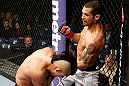 LONDON, ENGLAND - FEBRUARY 16:  (R-L) Vaughan Lee punches Motonobu Tezuka in their bantamweight fight during the UFC on Fuel TV event on February 16, 2013 at Wembley Arena in London, England.  (Photo by Josh Hedges/Zuffa LLC/Zuffa LLC via Getty Images)