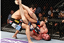 LONDON, ENGLAND - FEBRUARY 16:  (R-L) Paul Sass attempts an arm bar submission against Danny Castillo in their lightweight fight during the UFC on Fuel TV event on February 16, 2013 at Wembley Arena in London, England.  (Photo by Josh Hedges/Zuffa LLC/Zuffa LLC via Getty Images)
