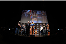ANAHEIM, CA - FEBRUARY 22:  Ronda Rousey weighs in during the UFC 157 weigh-in at Honda Center on February 22, 2013 in Anaheim, California.  (Photo by Josh Hedges/Zuffa LLC/Zuffa LLC via Getty Images)