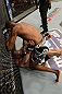 ANAHEIM, CA - FEBRUARY 23:  Neil Magny (top) punches Jon Manley in their welterweight bout during UFC 157 at Honda Center on February 23, 2013 in Anaheim, California.  (Photo by Donald Miralle/Zuffa LLC/Zuffa LLC via Getty Images) *** Local Caption *** Jon Manley; Neil Magny