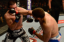 ANAHEIM, CA - FEBRUARY 23:  (R-L) Court McGee punches Josh Neer in their welterweight bout during UFC 157 at Honda Center on February 23, 2013 in Anaheim, California.  (Photo by Donald Miralle/Zuffa LLC/Zuffa LLC via Getty Images) *** Local Caption *** Court McGee; Josh Neer