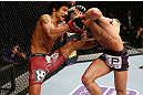 SAITAMA, JAPAN - MARCH 03:  (R-L) Kyung Ho Kang attempts to take down Alex Caceres in their bantamweight fight during the UFC on FUEL TV event at Saitama Super Arena on March 3, 2013 in Saitama, Japan.  (Photo by Josh Hedges/Zuffa LLC/Zuffa LLC via Getty Images)