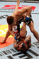 SAITAMA, JAPAN - MARCH 03:  Kazuki Tokudome (top) punches Cristiano Marcello in their lightweight fight during the UFC on FUEL TV event at Saitama Super Arena on March 3, 2013 in Saitama, Japan.  (Photo by Josh Hedges/Zuffa LLC/Zuffa LLC via Getty Images)