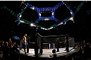 SAITAMA, JAPAN - MARCH 03:  Brian Stann enters the Octagon before his light heavyweight fight against Wanderlei Silva during the UFC on FUEL TV event at Saitama Super Arena on March 3, 2013 in Saitama, Japan.  (Photo by Josh Hedges/Zuffa LLC/Zuffa LLC via Getty Images)