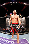 SAITAMA, JAPAN - MARCH 03:  Wanderlei Silva stands in the Octagon before his light heavyweight fight against Brian Stann during the UFC on FUEL TV event at Saitama Super Arena on March 3, 2013 in Saitama, Japan.  (Photo by Josh Hedges/Zuffa LLC/Zuffa LLC via Getty Images)