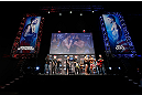 MONTREAL, QC - MARCH 15:  (L-R) Opponents Carlos Condit and Johny Hendricks face off during the UFC 158 weigh-in at Bell Centre on March 15, 2013 in Montreal, Quebec, Canada.  (Photo by Josh Hedges/Zuffa LLC/Zuffa LLC via Getty Images)