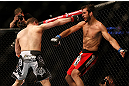 MONTREAL, QC - MARCH 16:  (L-R) Rick Story punches Quinn Mulhern in their welterweight bout during the UFC 158 event at Bell Centre on March 16, 2013 in Montreal, Quebec, Canada.  (Photo by Jonathan Ferrey/Zuffa LLC/Zuffa LLC via Getty Images)