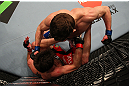 MONTREAL, QC - MARCH 16: Jordan Mein punches Dan Miller in their welterweight bout during the UFC 158 event at Bell Centre on March 16, 2013 in Montreal, Quebec, Canada.  (Photo by Josh Hedges/Zuffa LLC/Zuffa LLC via Getty Images)