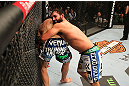 MONTREAL, QC - MARCH 16:  (R-L) Johny Hendricks attempts to take down Carlos Condit in their welterweight bout during the UFC 158 event at Bell Centre on March 16, 2013 in Montreal, Quebec, Canada.  (Photo by Jonathan Ferrey/Zuffa LLC/Zuffa LLC via Getty Images)