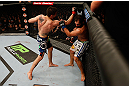 MONTREAL, QC - MARCH 16:  (L-R) Carlos Condit punches Johny Hendricks in their welterweight bout during the UFC 158 event at Bell Centre on March 16, 2013 in Montreal, Quebec, Canada.  (Photo by Josh Hedges/Zuffa LLC/Zuffa LLC via Getty Images)