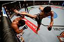 MONTREAL, QC - MARCH 16:  (R-L) Carlos Condit kicks Johny Hendricks in their welterweight bout during the UFC 158 event at Bell Centre on March 16, 2013 in Montreal, Quebec, Canada.  (Photo by Josh Hedges/Zuffa LLC/Zuffa LLC via Getty Images)