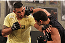 S&Atilde;O PAULO, BRASIL - 25/1/2013: Pedro Iri&ecirc; e o t&eacute;cnico Fabricio Werdum treinam juntos para o The Ultimate Fighter Brasil 2. (Foto de Luiz Pires Dias/Zuffa LLC/Zuffa LLC via Getty Images)