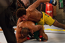 S&Atilde;O PAULO, BRASIL - 25/1/2013: Tiago Alves (Time Werdum) x Cleiton "Foguete" Duarte (Time Nogueira). (Foto de Luiz Pires Dias/Zuffa LLC/Zuffa LLC via Getty Images)