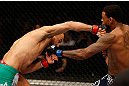 STOCKHOLM, SWEDEN - APRIL 06:  (L-R) Reza Madadi punches Michael Johnson in their lightweight fight at the Ericsson Globe Arena on April 6, 2013 in Stockholm, Sweden.  (Photo by Josh Hedges/Zuffa LLC/Zuffa LLC via Getty Images)
