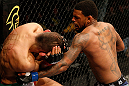 STOCKHOLM, SWEDEN - APRIL 06:  (R-L) Michael Johnson punches Reza Madadi in their lightweight fight at the Ericsson Globe Arena on April 6, 2013 in Stockholm, Sweden.  (Photo by Josh Hedges/Zuffa LLC/Zuffa LLC via Getty Images)