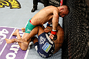 STOCKHOLM, SWEDEN - APRIL 06:  (L-R) Reza Madadi punches Michael Johnson in their lightweight fight at the Ericsson Globe Arena on April 6, 2013 in Stockholm, Sweden.  (Photo by Josh Hedges/Zuffa LLC/Zuffa LLC via Getty Images)