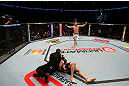 STOCKHOLM, SWEDEN - APRIL 06:  Matt Mitrione reacts after knocking out Phil De Fries in their heavyweight fight at the Ericsson Globe Arena on April 6, 2013 in Stockholm, Sweden.  (Photo by Josh Hedges/Zuffa LLC/Zuffa LLC via Getty Images)