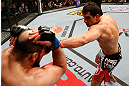 STOCKHOLM, SWEDEN - APRIL 06:  (R-L) Gegard Mousasi punches Ilir Latifi in their light heavyweight fight at the Ericsson Globe Arena on April 6, 2013 in Stockholm, Sweden.  (Photo by Josh Hedges/Zuffa LLC/Zuffa LLC via Getty Images)
