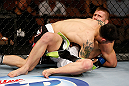 LAS VEGAS, NV - APRIL 13:   Daniel Pineda (black shorts) attempts to submit Justin Lawrence in their featherweight fight at the Mandalay Bay Events Center  on April 13, 2013 in Las Vegas, Nevada.  (Photo by Josh Hedges/Zuffa LLC/Zuffa LLC via Getty Images)  *** Local Caption *** Justin Lawrence; Daniel Pineda