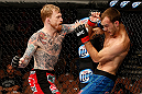 LAS VEGAS, NV - APRIL 13:   (L-R) Bart Palaszewski punches Cole Miller in their featherweight fight at the Mandalay Bay Events Center  on April 13, 2013 in Las Vegas, Nevada.  (Photo by Josh Hedges/Zuffa LLC/Zuffa LLC via Getty Images)  *** Local Caption *** Cole Miller; Bart Palaszewski
