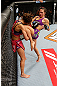 LAS VEGAS, NV - APRIL 13:   (R-L) Cat Zingano knees Miesha Tate in their bantamweight fight at the Mandalay Bay Events Center  on April 13, 2013 in Las Vegas, Nevada.  (Photo by Josh Hedges/Zuffa LLC/Zuffa LLC via Getty Images)  *** Local Caption *** Miesha Tate; Cat Zingano