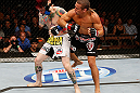 LAS VEGAS, NV - APRIL 13:   (R-L) Urijah Faber elbows Scott Jorgensen in their bantamweight fight at the Mandalay Bay Events Center  on April 13, 2013 in Las Vegas, Nevada.  (Photo by Josh Hedges/Zuffa LLC/Zuffa LLC via Getty Images)  *** Local Caption *** Urijah Faber; Scott Jorgensen