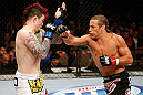 LAS VEGAS, NV - APRIL 13:   (R-L) Urijah Faber punches Scott Jorgensen in their bantamweight fight at the Mandalay Bay Events Center  on April 13, 2013 in Las Vegas, Nevada.  (Photo by Josh Hedges/Zuffa LLC/Zuffa LLC via Getty Images)  *** Local Caption *** Urijah Faber; Scott Jorgensen