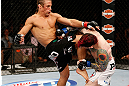 LAS VEGAS, NV - APRIL 13:   (L-R) Urijah Faber knees Scott Jorgensen in their bantamweight fight at the Mandalay Bay Events Center  on April 13, 2013 in Las Vegas, Nevada.  (Photo by Josh Hedges/Zuffa LLC/Zuffa LLC via Getty Images)  *** Local Caption *** Urijah Faber; Scott Jorgensen