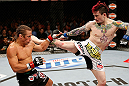 LAS VEGAS, NV - APRIL 13:   (R-L) Scott Jorgensen kicks Urijah Faber in their bantamweight fight at the Mandalay Bay Events Center  on April 13, 2013 in Las Vegas, Nevada.  (Photo by Josh Hedges/Zuffa LLC/Zuffa LLC via Getty Images)  *** Local Caption *** Urijah Faber; Scott Jorgensen