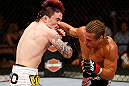 LAS VEGAS, NV - APRIL 13:   (R-L) Urijah Faber punches Scott Jorgensen in their bantamweight fight at the Mandalay Bay Events Center  on April 13, 2013 in Las Vegas, Nevada.  (Photo by Josh Hedges/Zuffa LLC/Zuffa LLC via Getty Images)  *** Local Caption *** Urijah Faber; Scott Jorgensen