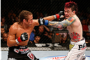 LAS VEGAS, NV - APRIL 13:   (L-R) Urijah Faber punches Scott Jorgensen in their bantamweight fight at the Mandalay Bay Events Center  on April 13, 2013 in Las Vegas, Nevada.  (Photo by Josh Hedges/Zuffa LLC/Zuffa LLC via Getty Images)  *** Local Caption *** Urijah Faber; Scott Jorgensen