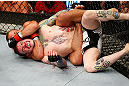 LAS VEGAS, NV - APRIL 13:   Urijah Faber (top) attempts to submit Scott Jorgensen in their bantamweight fight at the Mandalay Bay Events Center  on April 13, 2013 in Las Vegas, Nevada.  (Photo by Josh Hedges/Zuffa LLC/Zuffa LLC via Getty Images)  *** Local Caption *** Urijah Faber; Scott Jorgensen