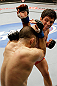 SAN JOSE, CA - APRIL 20:   Joseph Benavidez (top) punches Darren Uyenoyama in their flyweight bout during the UFC on FOX event at the HP Pavilion on April 20, 2013 in San Jose, California.  (Photo by Ezra Shaw/Zuffa LLC/Zuffa LLC via Getty Images)  *** Local Caption *** Joseph Benavidez; Darren Uyenoyama