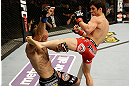 SAN JOSE, CA - APRIL 20:   (R-L) Joseph Benavidez kicks Darren Uyenoyama in their flyweight bout during the UFC on FOX event at the HP Pavilion on April 20, 2013 in San Jose, California.  (Photo by Ezra Shaw/Zuffa LLC/Zuffa LLC via Getty Images)  *** Local Caption *** Joseph Benavidez; Darren Uyenoyama